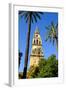 Patio De Los Naranjos, Mezquita Cathedral, Cordoba, Andalucia, Spain-Carlo Morucchio-Framed Photographic Print