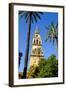 Patio De Los Naranjos, Mezquita Cathedral, Cordoba, Andalucia, Spain-Carlo Morucchio-Framed Photographic Print