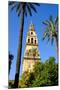 Patio De Los Naranjos, Mezquita Cathedral, Cordoba, Andalucia, Spain-Carlo Morucchio-Mounted Photographic Print