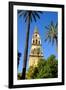 Patio De Los Naranjos, Mezquita Cathedral, Cordoba, Andalucia, Spain-Carlo Morucchio-Framed Photographic Print