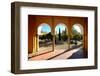 Patio De Los Naranjos, Mezquita Cathedral, Cordoba, Andalucia, Spain-Carlo Morucchio-Framed Photographic Print