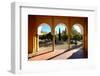 Patio De Los Naranjos, Mezquita Cathedral, Cordoba, Andalucia, Spain-Carlo Morucchio-Framed Photographic Print