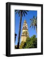 Patio De Los Naranjos, Mezquita Cathedral, Cordoba, Andalucia, Spain-Carlo Morucchio-Framed Photographic Print