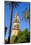 Patio De Los Naranjos, Mezquita Cathedral, Cordoba, Andalucia, Spain-Carlo Morucchio-Mounted Photographic Print