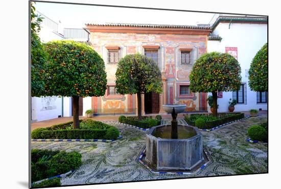 Patio of the Museo De Bellas Artes and Museo Julio Romero De Torres, Cordoba, Andalucia, Spain-Carlo Morucchio-Mounted Photographic Print