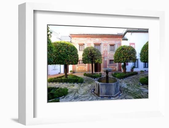 Patio of the Museo De Bellas Artes and Museo Julio Romero De Torres, Cordoba, Andalucia, Spain-Carlo Morucchio-Framed Photographic Print