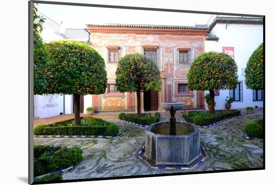 Patio of the Museo De Bellas Artes and Museo Julio Romero De Torres, Cordoba, Andalucia, Spain-Carlo Morucchio-Mounted Photographic Print