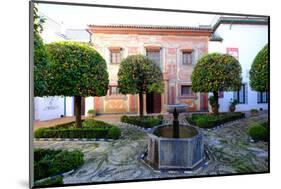 Patio of the Museo De Bellas Artes and Museo Julio Romero De Torres, Cordoba, Andalucia, Spain-Carlo Morucchio-Mounted Photographic Print