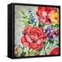 Patio Peony III-Paul Brent-Framed Stretched Canvas