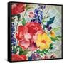 Patio Peony V-Paul Brent-Framed Stretched Canvas