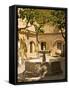 Patio With Fountain at Divino Salvador Church, Seville, Andalusia, Spain, Europe-Guy Thouvenin-Framed Stretched Canvas