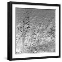 Patmos Grasses-Tony Koukos-Framed Giclee Print