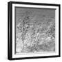 Patmos Grasses-Tony Koukos-Framed Giclee Print