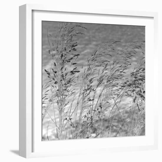 Patmos Grasses-Tony Koukos-Framed Giclee Print