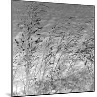 Patmos Grasses-Tony Koukos-Mounted Giclee Print