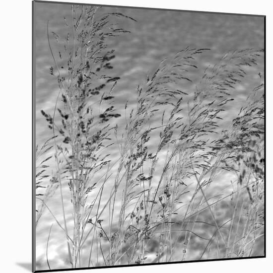 Patmos Grasses-Tony Koukos-Mounted Giclee Print