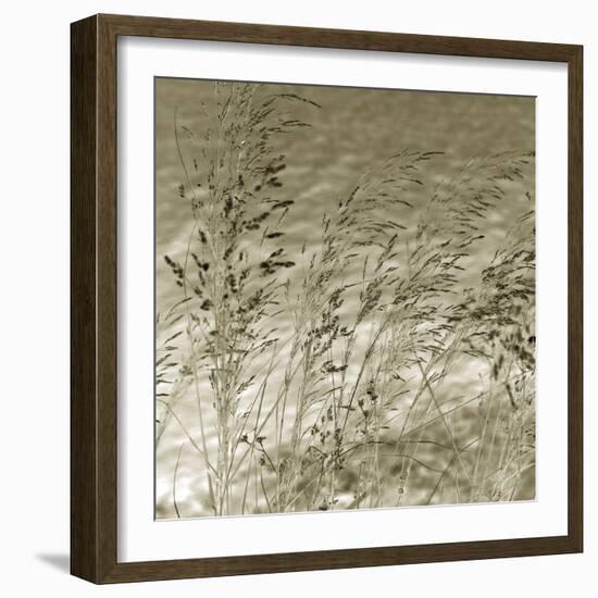 Patmos Organics I-Tony Koukos-Framed Giclee Print