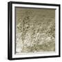 Patmos Organics I-Tony Koukos-Framed Giclee Print