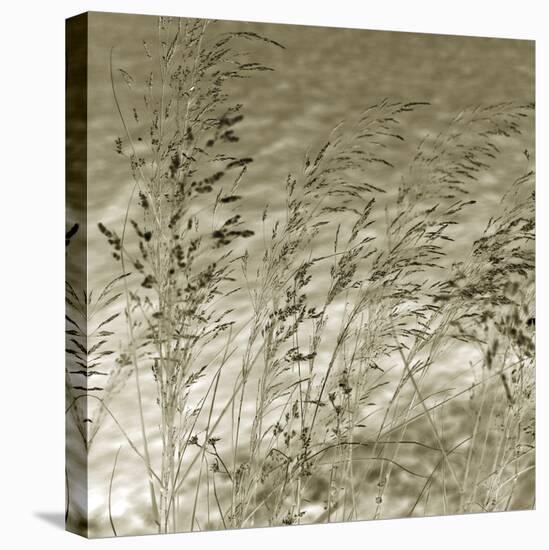 Patmos Organics I-Tony Koukos-Stretched Canvas