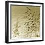 Patmos Organics II-Tony Koukos-Framed Giclee Print