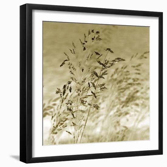 Patmos Organics III-Tony Koukos-Framed Giclee Print