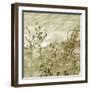 Patmos Organics V-Tony Koukos-Framed Giclee Print