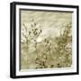 Patmos Organics V-Tony Koukos-Framed Giclee Print