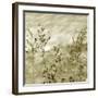 Patmos Organics V-Tony Koukos-Framed Giclee Print