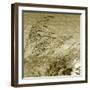 Patmos Organics VI-Tony Koukos-Framed Giclee Print