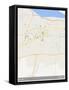 Patna, India Map-null-Framed Stretched Canvas