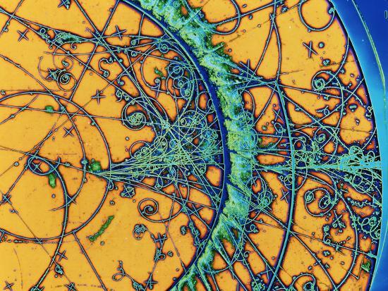 Photographic Print, , large