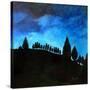 Stretched Canvas