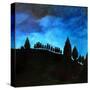 Stretched Canvas