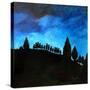 Stretched Canvas