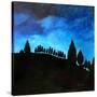 Stretched Canvas