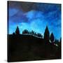 Stretched Canvas