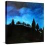 Stretched Canvas