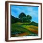 Brown Frame