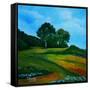 Canvas Black