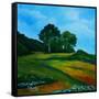 Canvas Black