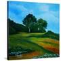 Stretched Canvas