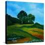 Stretched Canvas