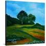 Stretched Canvas