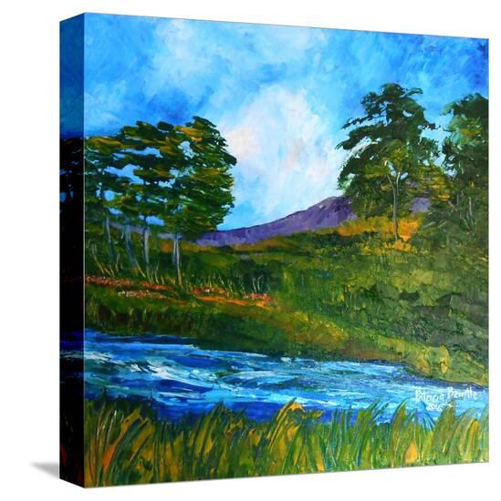 Stretched Canvas Print, , large
