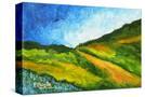 Stretched Canvas