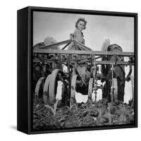 Patricia Colleen Altree Harrowing a Corn Field-J^ R^ Eyerman-Framed Stretched Canvas