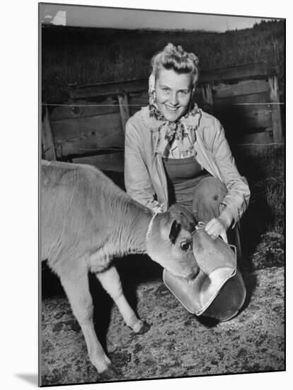 Patricia Colleen Altree Teaching a Calf How to Drink Milk from a Pail-null-Mounted Photographic Print