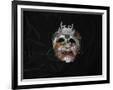 Gramercy Black
