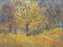 November in Hyde Park, 1997-Patricia Espir-Giclee Print