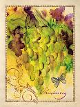 Citrus Orchard 4-Patricia Haberler-Art Print